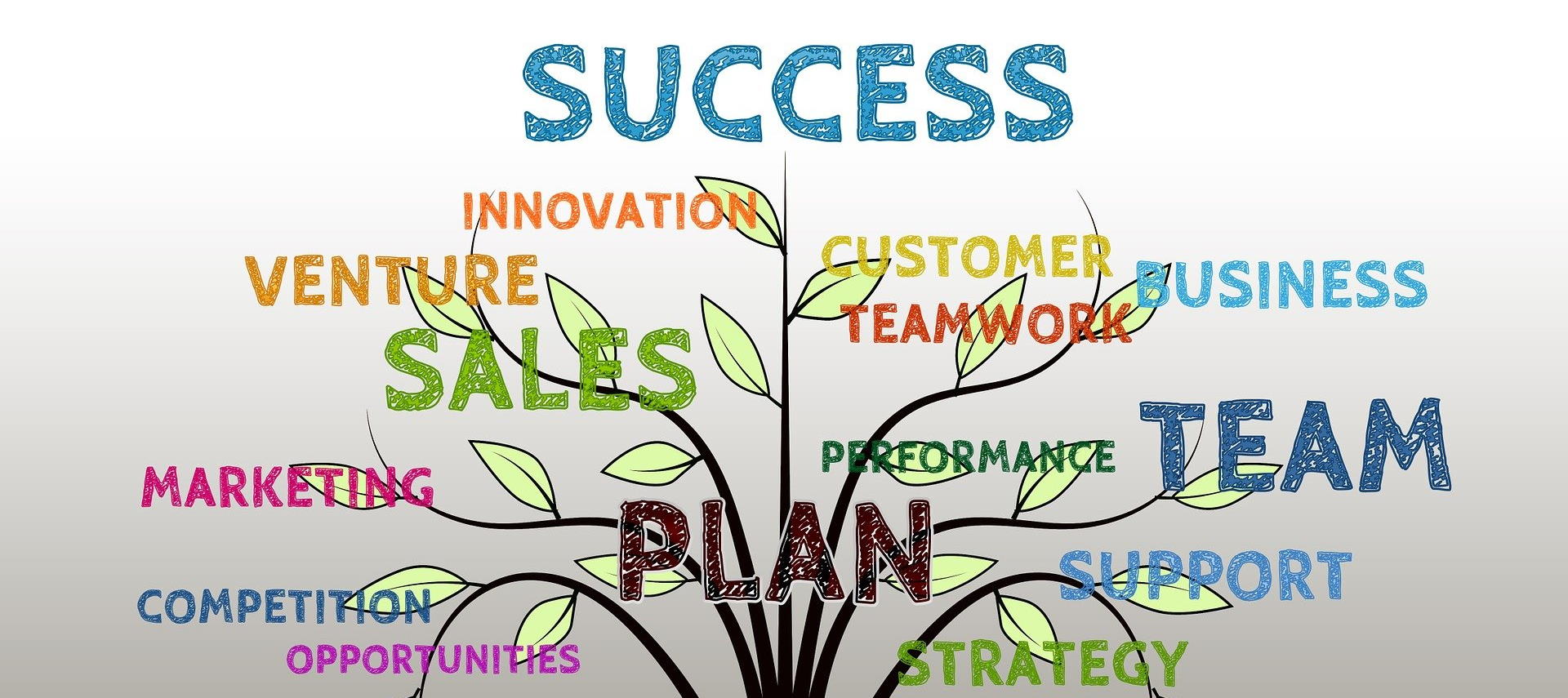 15 frasi di successo