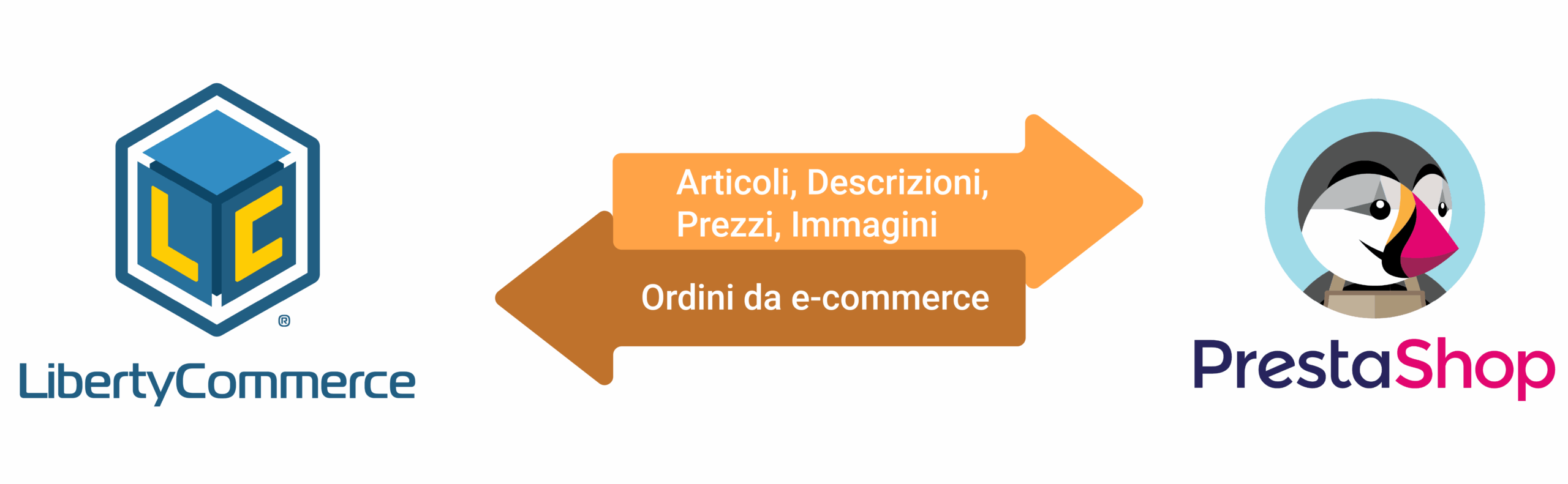 Moduli di esportazione per ecommerce